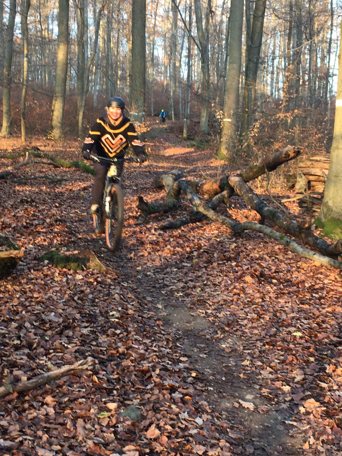 Ines Wald Ines Wald