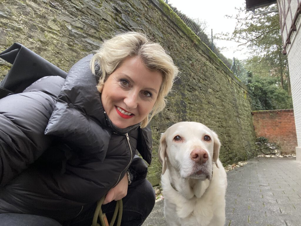 emma Labrador emma Labrador