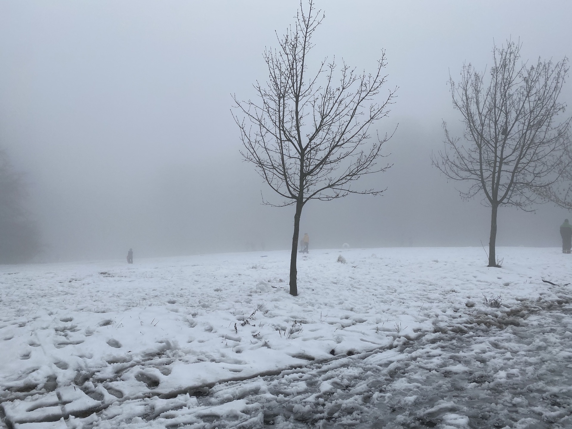 Platte_1 Rhein xmas